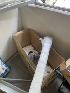 Cat helping to install air conditioner
